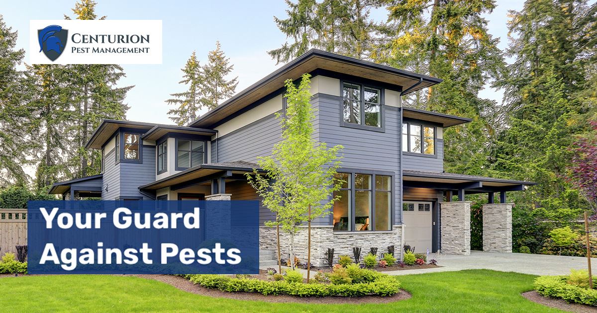 Newnan Pest Control Centurion Pest Management